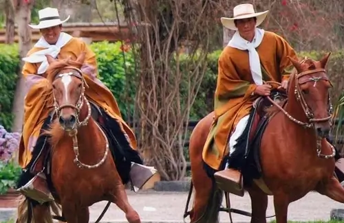 pachacamaccaballo show